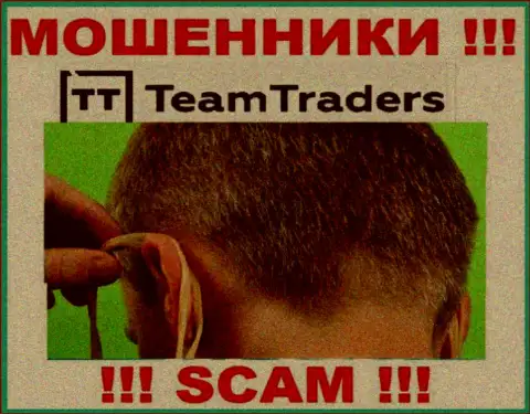 С конторой Team Traders заработать не получится, заманят в свою организацию и ограбят подчистую