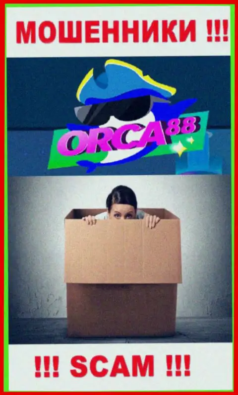 Руководство Orca88 Com засекречено, у них на официальном web-ресурсе о себе инфы нет