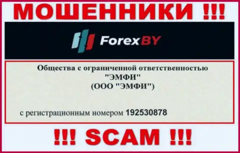На сайте мошенников Forex BY предоставлен именно этот номер регистрации данной организации: 192530878