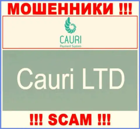 Не ведитесь на информацию о существовании юридического лица, Каури - Cauri LTD, все равно рано или поздно одурачат