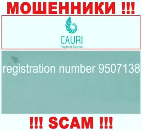 Номер регистрации, принадлежащий мошеннической организации Каури Ком - 9507138