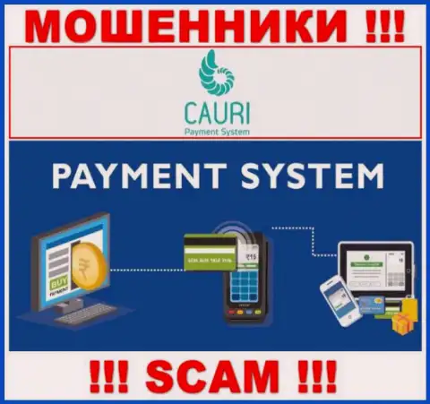 Обманщики Каури, работая в области Payment system, оставляют без денег доверчивых людей
