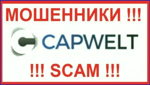 CapWelt - это ЖУЛИКИ !!! Связываться очень рискованно !!!