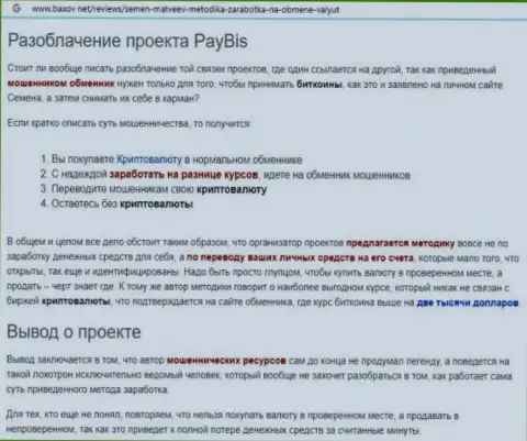 PayBis финансовые вложения отдавать отказывается, даже стараться не нужно (обзор)