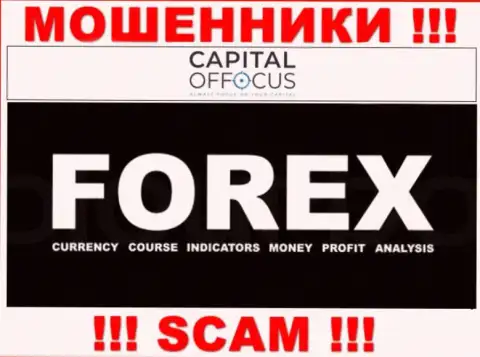 С конторой CapitalOfFocus Com иметь дело весьма опасно, их тип деятельности FOREX - это капкан