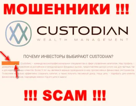 Юр лицом, владеющим internet-ворюгами Custodian, является ООО Кастодиан