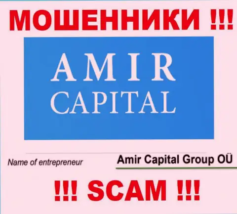Амир Капитал Групп ОЮ - это контора, которая управляет internet-ворами Amir Capital