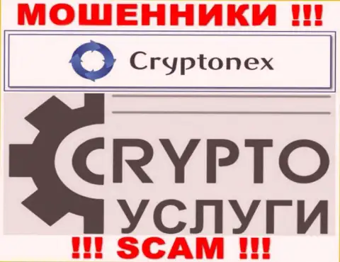 Взаимодействуя с CryptoNex, область работы которых Крипто услуги, можете лишиться своих денежных вложений