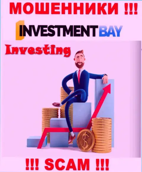 Не стоит верить, что сфера деятельности Investment Bay - Инвестиции легальна - это развод