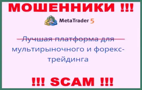 Деятельность интернет-обманщиков MetaQuotes Ltd: ПО - это замануха для наивных клиентов