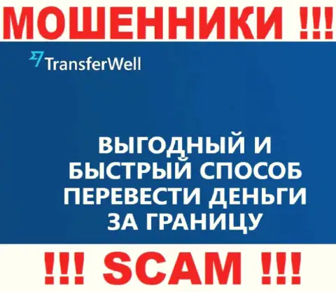 Не верьте, что деятельность TransferWell в сфере Платежная система законная