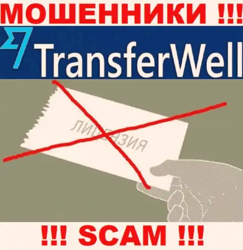 Вы не сможете откопать сведения о лицензии internet махинаторов Transfer Well, поскольку они ее не имеют