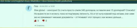 По мнению создателя предоставленного высказывания, РайсГлобал Юс - это противозаконно действующая организация