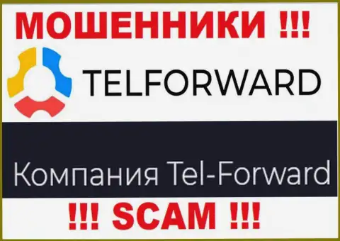Юридическое лицо TelForward Net - это Тел-Форвард, такую инфу расположили обманщики на своем интернет-сервисе