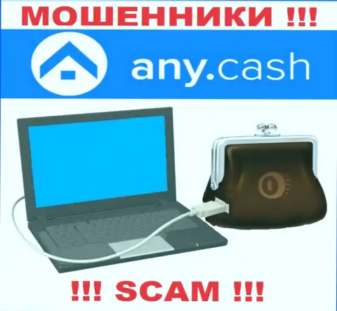 Any Cash - это АФЕРИСТЫ, вид деятельности которых - Виртуальный online-кошелек