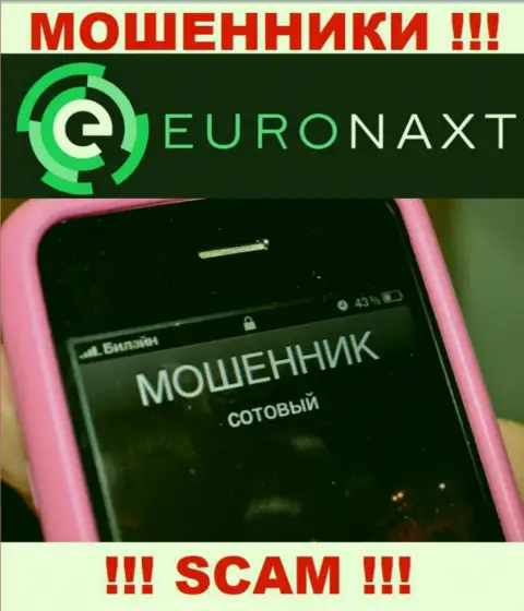 Вас намерены раскрутить на деньги, EuroNax в поисках новых лохов