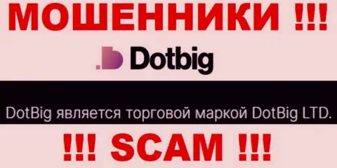 DotBig LTD - юр лицо интернет-кидал компания DotBig LTD