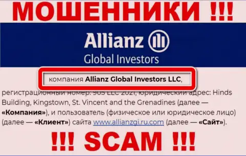 Компания Allianz Global Investors находится под крышей компании Allianz Global Investors LLC