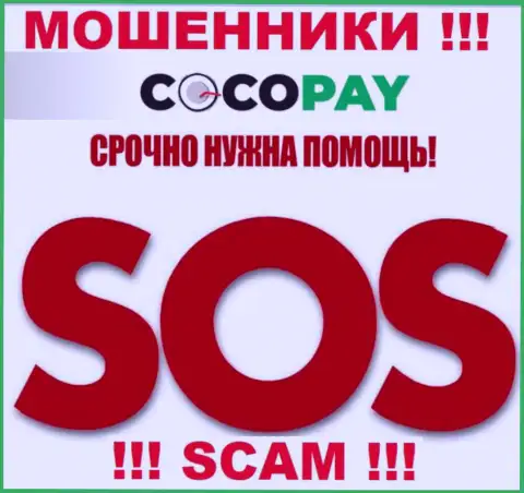 Можно еще попробовать забрать назад средства из организации Coco-Pay Com, обращайтесь, разузнаете, как быть