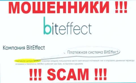 Будьте бдительны, вид деятельности BitEffect Net, Платёжная система - кидалово !!!