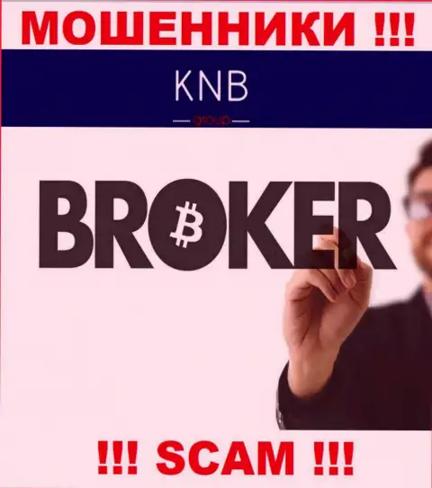 Брокер - именно в таком направлении предоставляют свои услуги internet-разводилы KNB Group