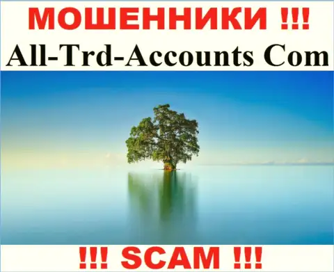 All-Trd-Accounts Com сливают финансовые вложения и выходят сухими из воды - они скрывают информацию о юрисдикции