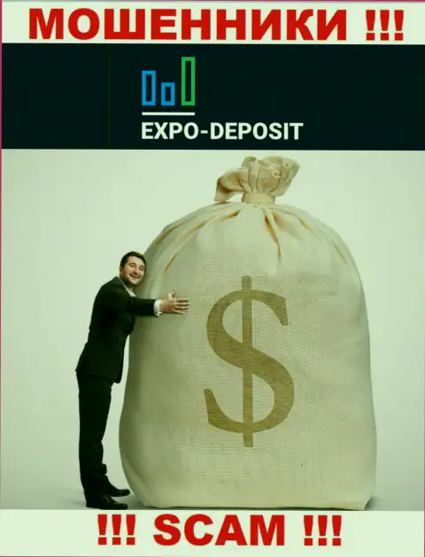 Нереально забрать назад средства с ДЦ Expo-Depo, поэтому ни гроша дополнительно заводить не надо