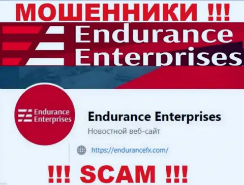 Пообщаться с мошенниками из организации Endurance Enterprises Вы сможете, если отправите письмо на их адрес электронной почты