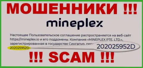 Рег. номер очередной преступно действующей компании МайнПлекс - 202025952D