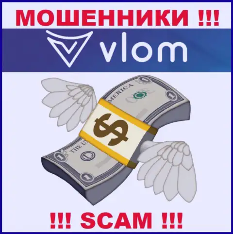 Дилинговая организация Vlom работает только на ввод вложенных денег, с ними Вы абсолютно ничего не сможете заработать