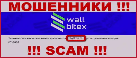 WallBitex - МОШЕННИКИ !!! Владеет этим разводняком BigDrop OÜ