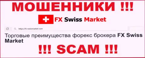 Сфера деятельности FXSwiss Market: Форекс - отличный заработок для жуликов
