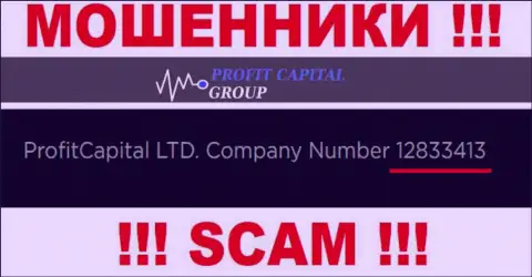 Рег. номер Profit Capital Group, который указан мошенниками на их сайте: 12833413