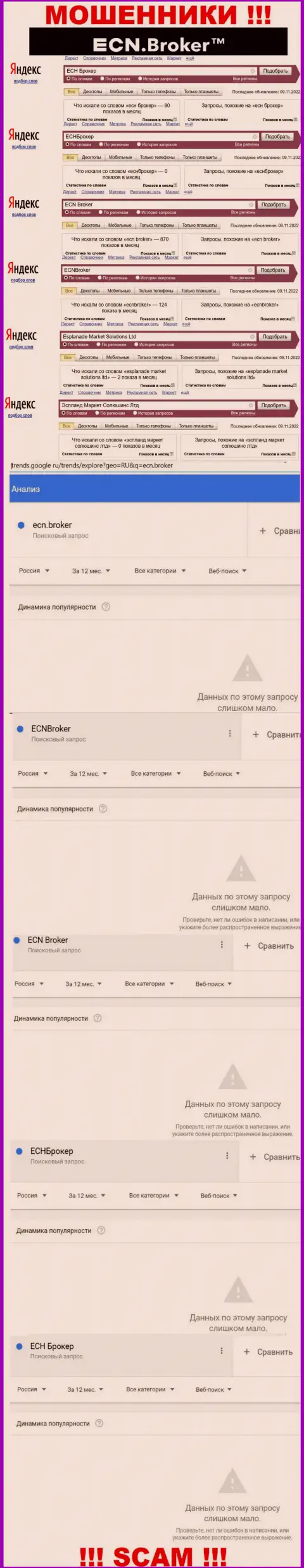 Количество онлайн запросов по мошенникам ECNBroker