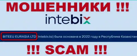 Свое юридическое лицо организация Intebix не скрыла - это BITEEU EURASIA Ltd