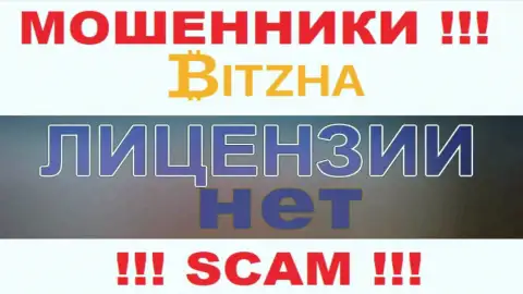 Обманщикам Битза24 не выдали лицензию на осуществление деятельности - сливают денежные средства