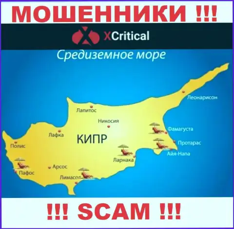 Cyprus - здесь, в офшорной зоне, отсиживаются internet кидалы XCritical