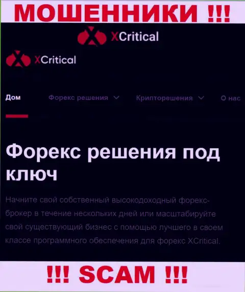X Critical - это подозрительная организация, сфера деятельности которой - Forex