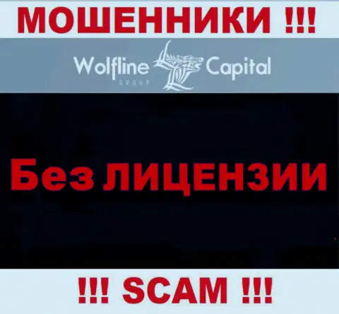 Нереально отыскать информацию о лицензионном документе интернет-воров Wolfline Capital - ее попросту нет !