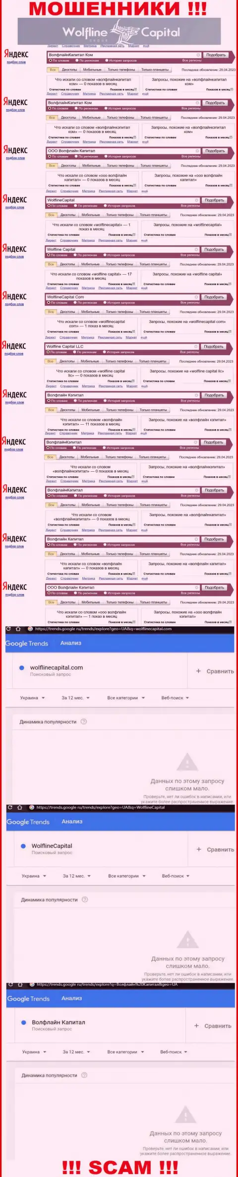 Статистические сведения о числе онлайн-запросов информации о кидалах ВолфлайнКапитал Ком