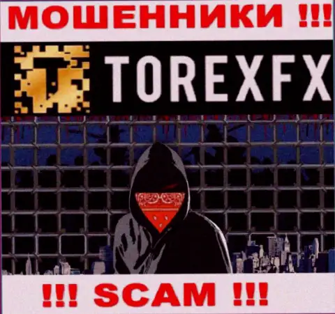 Torex FX скрывают сведения об Администрации организации